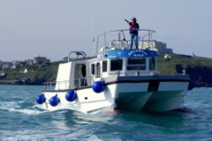 Sea Safaris along the rugged Cornish coastline onboard the Atlantic Diver.